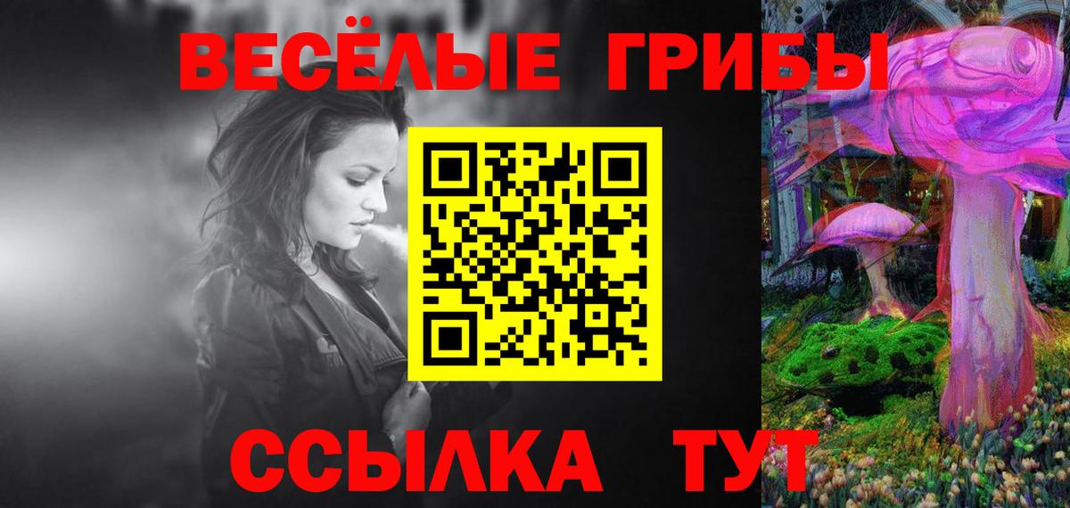 Псилоцибиновые грибы GOLDEN TEACHER Сосновый Бор