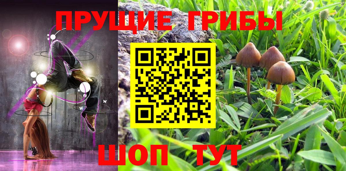 Сосновый Бор  Псилоцибиновые грибы Magic Shrooms  Вход с VPN 